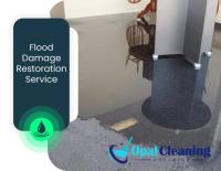 Opal Flood Damage Restoration Adelaide image 3